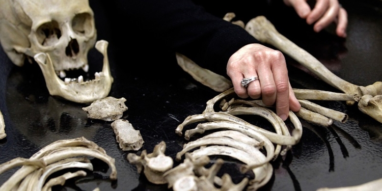 Жутко, но полезно. Зачем ученым нужны фермы трупов