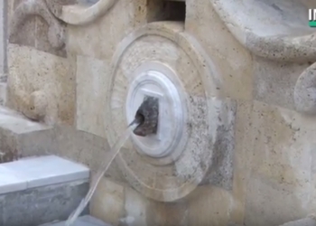 Ожившая история. Турецкий фонтан в Николаеве снова может напоить страждущих