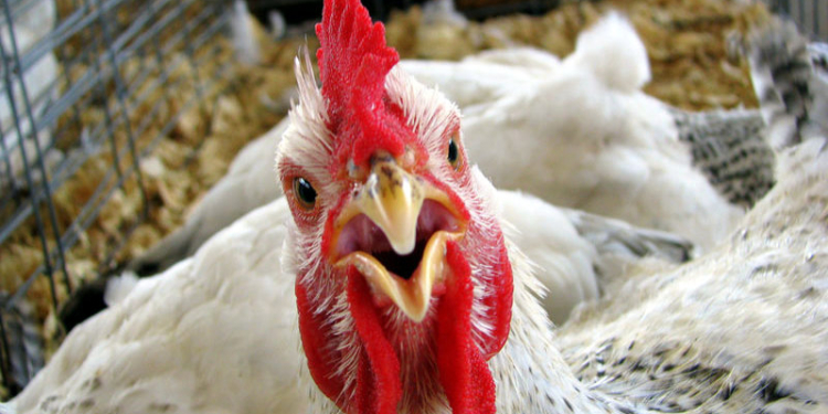 Две золотых и одну бронзовую медали на Паралимпиаде добыли николаевские спортсмены