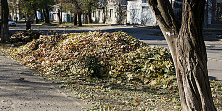 Николаевская опавшая листва будет вывозиться в карьер возле кладбища у Мешково-Погорелово, но после отработки проблемных вопросов