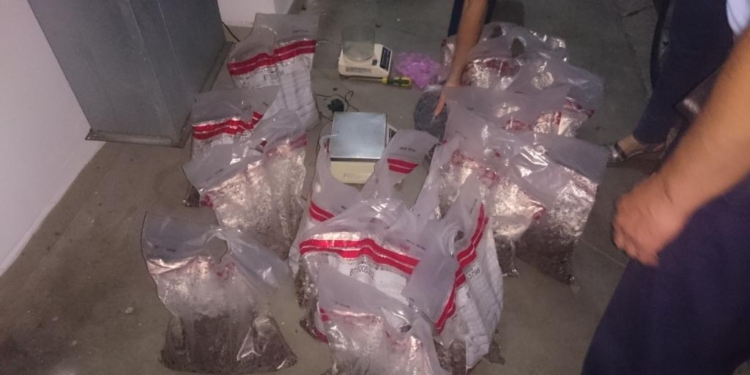 “Янтарным” контрабандистом, которого задержали на границе, оказался бывший пограничник из руководящего состава