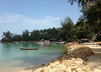 В Таиланде закрывают пляжи из-за нашествия ядовитых физалий