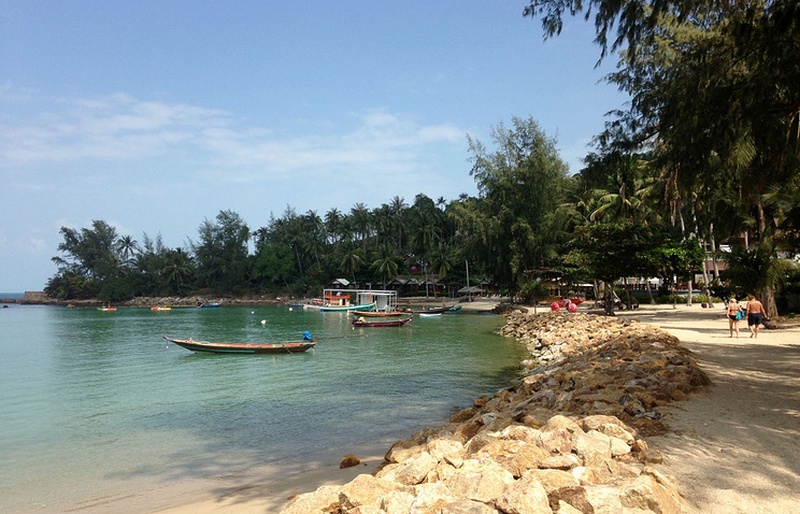 В Таиланде закрывают пляжи из-за нашествия ядовитых физалий 1
