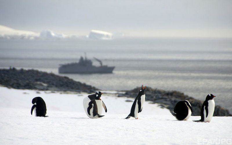 В Антарктике могут создать крупнейший на планете морской заповедник 1
