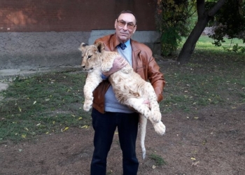 Николаевский зоопарк получил подарок: из Южной Африки приехали два львенка