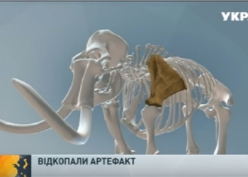 Случайная находка: в Николаеве обнаружилась лопатка мамонта