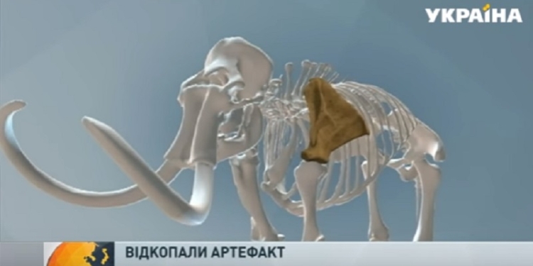 Случайная находка: в Николаеве обнаружилась лопатка мамонта