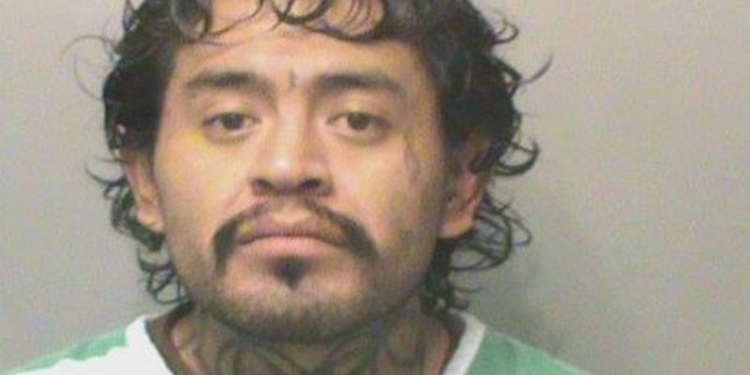 Разделся догола и пытался покусать дерево: в США полицейским удалось задержать сильно пьяного гражданина только с помощью электрошокера