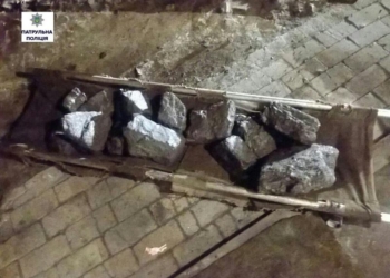 Воровали уголь прямо с поезда и складировали его в Варваровке: в Николаеве патрульные задержали шайку воров