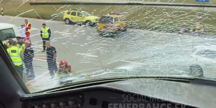 Самолет с турецкими футболистами столкнулся со стаей птиц. Лопнуло лобовое стекло