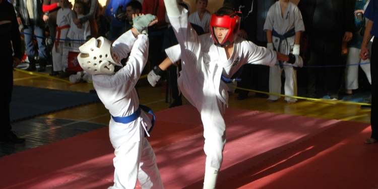 В Баштанке прошел 10-й юбилейный чемпионат Николаевской области по киокушин каратэ