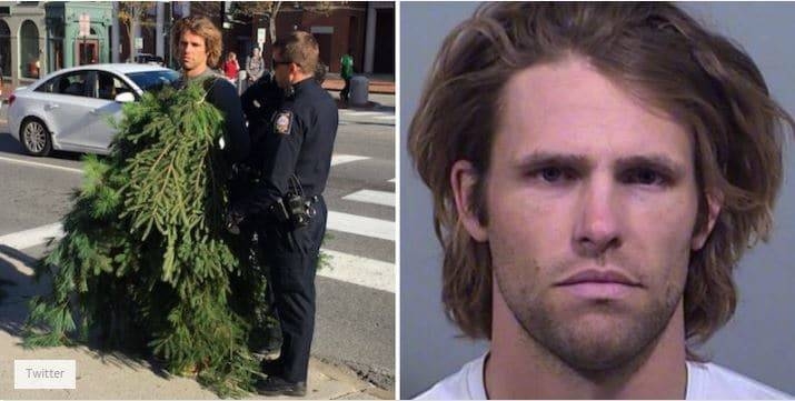 Свято наближається: в США мужчина, нарядившийся елкой, заблокировал автостраду