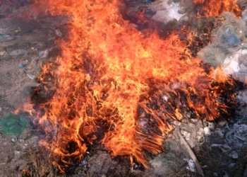 «Все, что нажито браконьерским трудом»: Николаеврыбоохрана сожгла 10 км конфискованных сетей