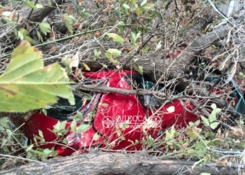 Балканский циклон «кошмарит» Одессу: падают строительные краны и деревья, деревом убило женщину