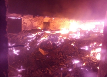 Николаевские спасатели не дали сгореть заживо свиноматкам и поросятам в Казанковском районе