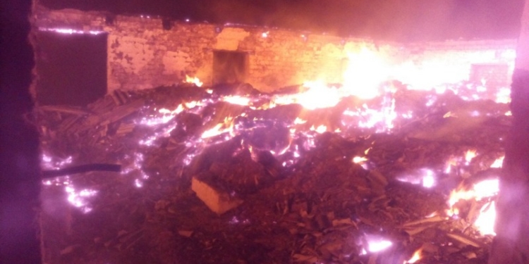 Николаевские спасатели не дали сгореть заживо свиноматкам и поросятам в Казанковском районе