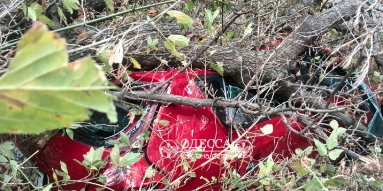 Балканский циклон «кошмарит» Одессу: падают строительные краны и деревья, деревом убило женщину