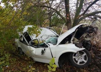 ДТП под Новой Одессой: «Lifan-520» врезался в дерево. Водитель погиб