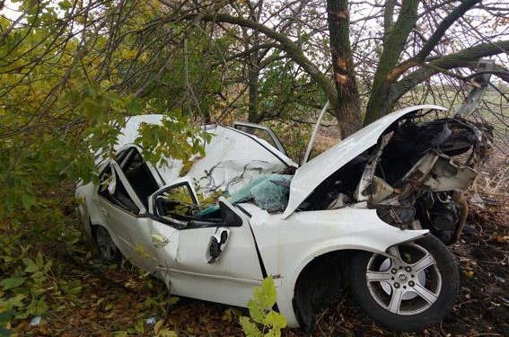 ДТП под Новой Одессой: «Lifan-520» врезался в дерево. Водитель погиб