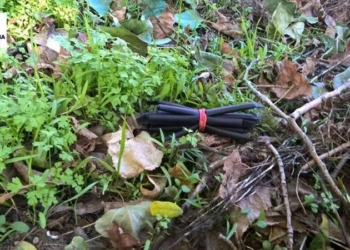 В Заводском районе Николаева патрульные искали грабителей, а нашли наркоманов