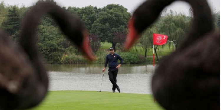 Черные лебеди чуть не сорвали этап World Golf Championship в Шанхае