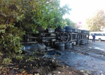 В Вознесенске в ДТП попал скотовоз: водитель жив, коровы погибли (18+)