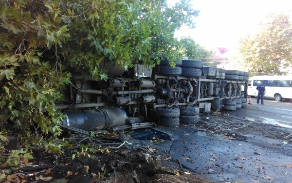 В Вознесенске в ДТП попал скотовоз: водитель жив, коровы погибли (18+)