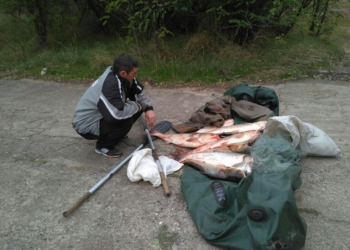 Километровая сеть, 43 кг толстолоба – Николаеврыбоохрана рассказала о задержанных браконьерах