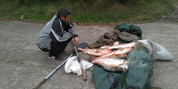 Километровая сеть, 43 кг толстолоба – Николаеврыбоохрана рассказала о задержанных браконьерах
