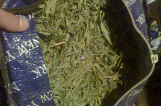 Урожай уже собран: у жителя Витовского района Николаевщины обнаружили 7 кг высушенной конопли