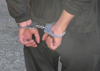 Нетрезвый николаевец, освобожденный из мест отдаленных по «закону Савченко», «заминировал» свой дом