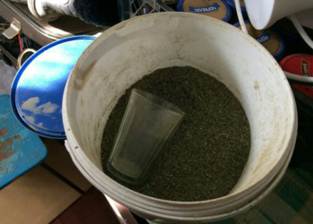 3,5 кг марихуаны, 100 мл ангидрита уксусной кислоты и так, по мелочи, – в Корабельном районе Николаева изъяли наркотиков на 100 тыс.грн.