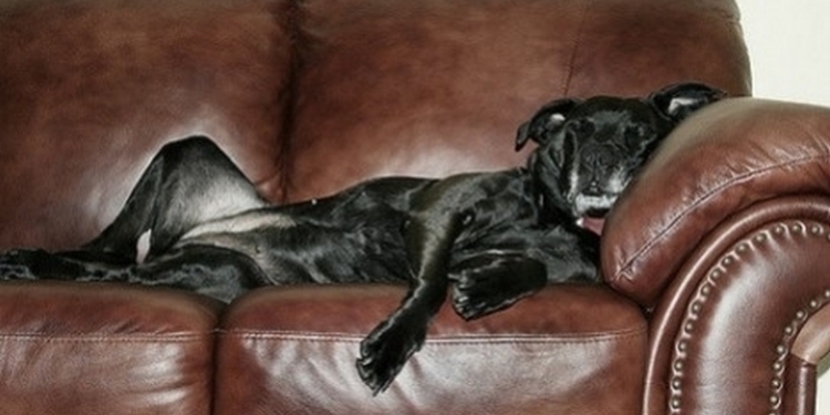 В Испании запущен «снотворный» канал