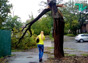 Последствия стихии на Николаевщине: без света – 53 населенных пункта, без телефонной связи – 30, в Николаеве упало 50 деревьев