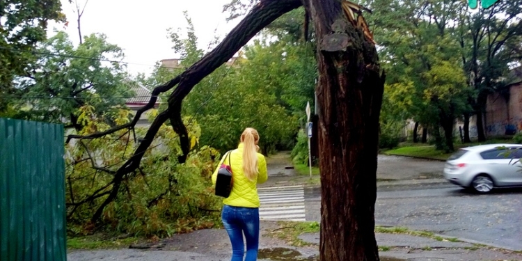Последствия стихии на Николаевщине: без света – 53 населенных пункта, без телефонной связи – 30, в Николаеве упало 50 деревьев
