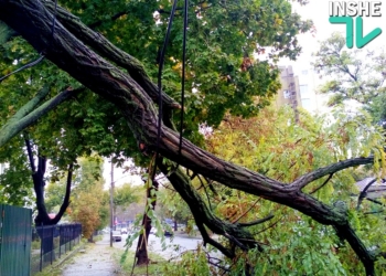 Последствия стихии на Николаевщине: без света – 53 населенных пункта, без телефонной связи – 30, в Николаеве упало 50 деревьев