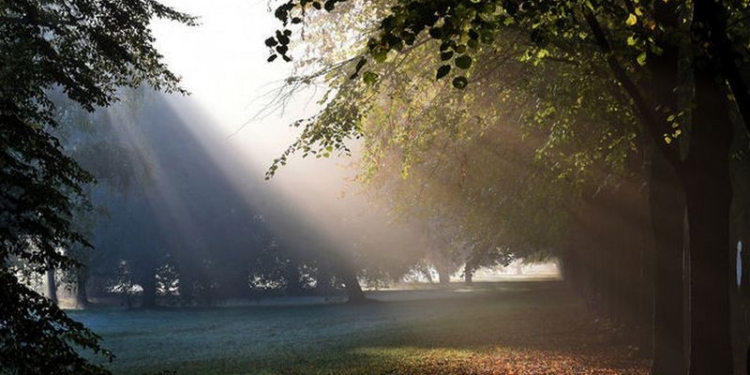 Прогноз погоды на завтра: существенных осадков не ожидается
