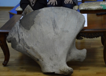 «Историю продавать нельзя»: найденную в Николаеве лопатку мамонта передали в краеведческий музей