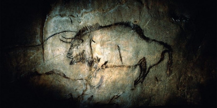 Наскальные рисунки помогли открыть новый вид бизонов