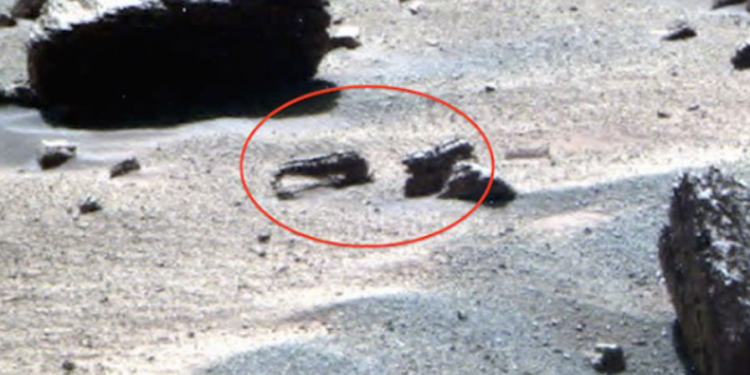 На снимках NASA, сделанных на Марсе, нашли “мертвое скорпионоподобное существо”