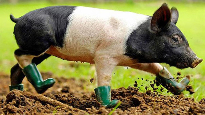 Завтра погода лучше не станет. Автомобилисты, учтите