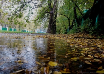 Будьте осторожны: завтра в Николаеве сильные дожди