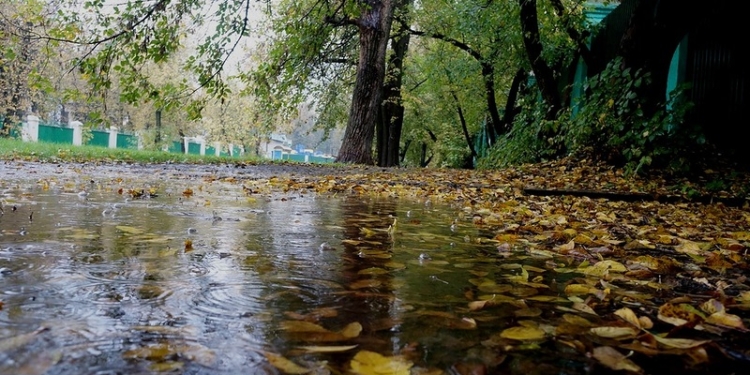 Будьте осторожны: завтра в Николаеве сильные дожди