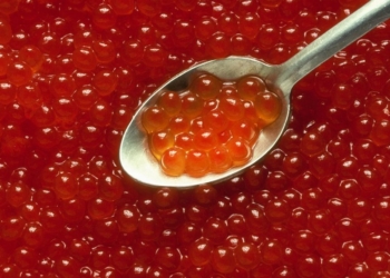 «Я очень хочу кушать»: жительница России на таможне пыталась съесть 10 кг контрабандной красной икры