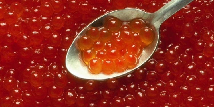 «Я очень хочу кушать»: жительница России на таможне пыталась съесть 10 кг контрабандной красной икры