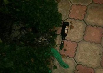 На Николаевщине во двор частного дома бросили коктейль Молотова