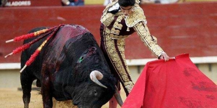 В Каталонии Конституционный суд отменил запрет на корриду