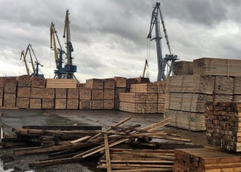 СБУ перекрыла нелегальный экспорт древесины через Херсонский речной порт