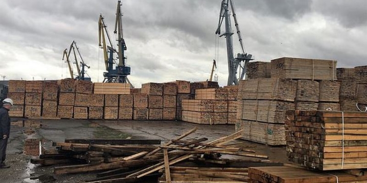 СБУ перекрыла нелегальный экспорт древесины через Херсонский речной порт