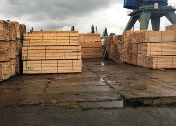 СБУ перекрыла нелегальный экспорт древесины через Херсонский речной порт
